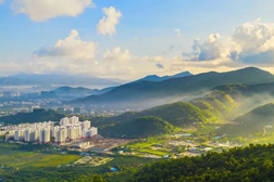 吉陽網站建設