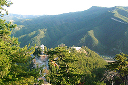 中陽網站建設