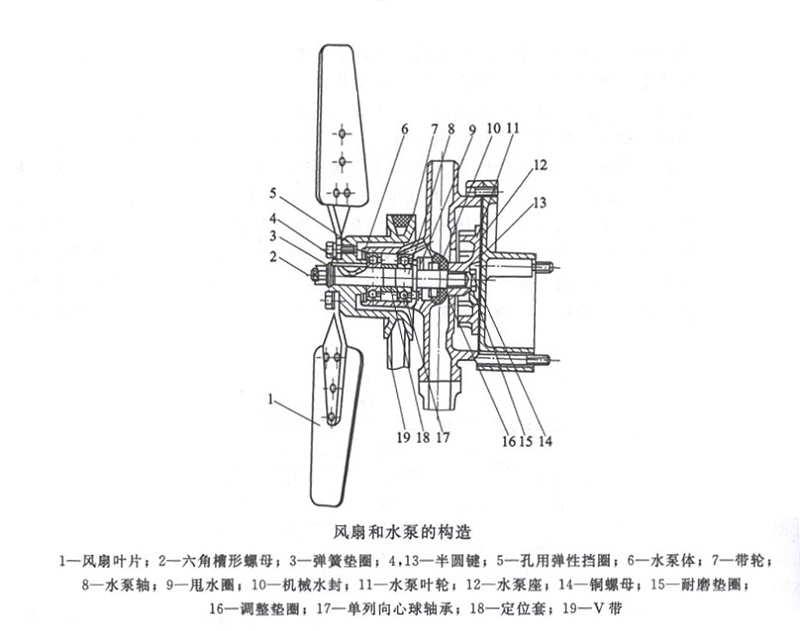 風扇和水泵的構造