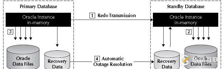 Oracle學習之DATAGUARD(一) DG架構