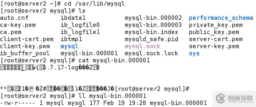 企業 - MySQL主從備份