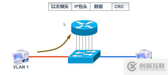 VLAN與三層交換機——理論篇