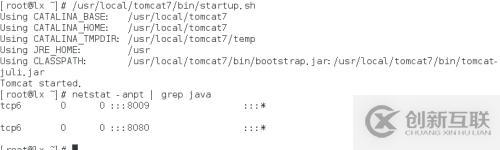 線上環境Nginx+Tomcat網站拓撲架構介紹