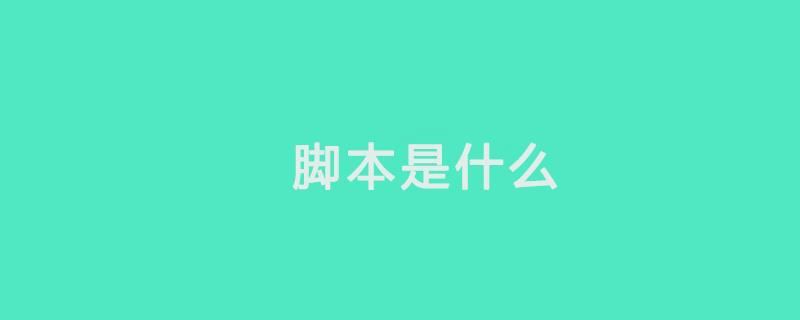 腳本是什么意思？