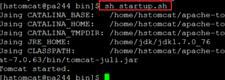 在linux系統(tǒng)中啟動(dòng)tomcat的方法