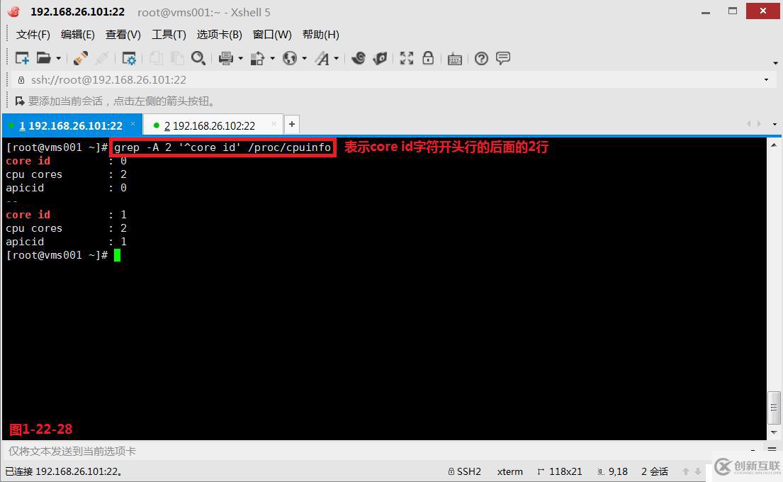 【我的Linux，我做主！】通配符和正則表達式深層解析