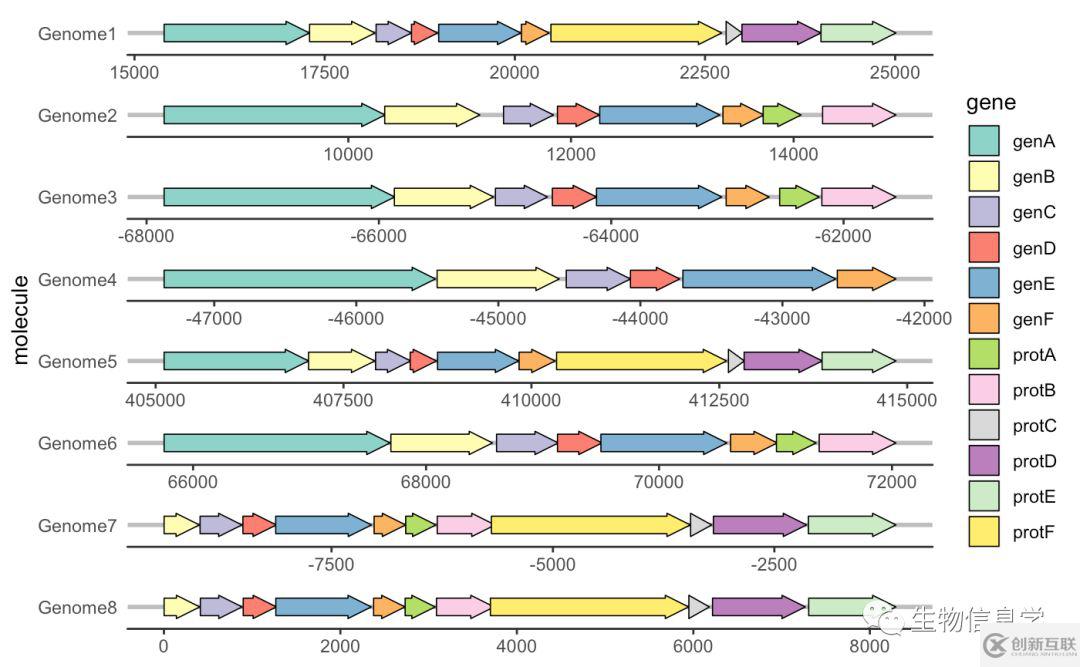 如何用gggenes畫基因結(jié)構(gòu)圖