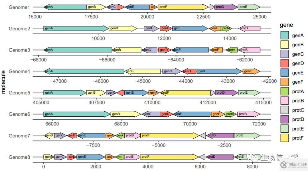 如何用gggenes畫基因結(jié)構(gòu)圖