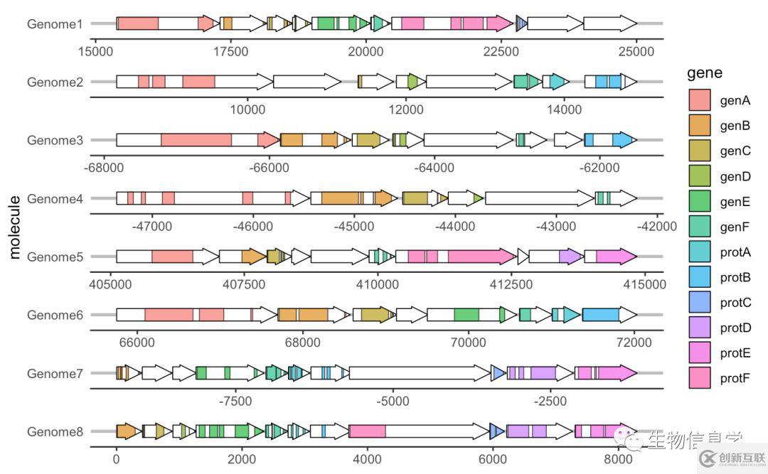 如何用gggenes畫基因結(jié)構(gòu)圖