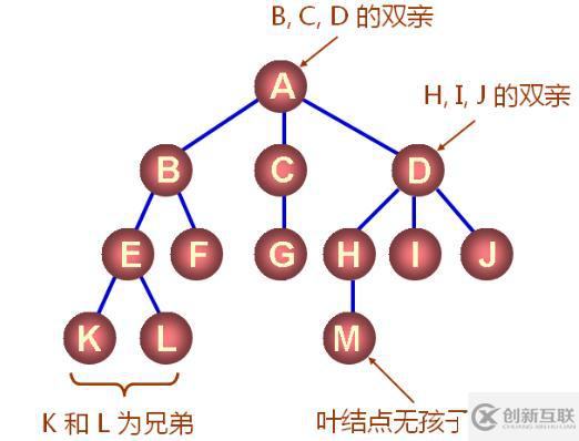 數據結構（十三）——樹