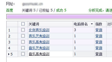 網站優化成功