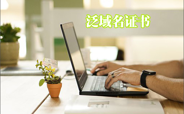 泛域名證書怎么樣，二級(jí)域名證書是什么