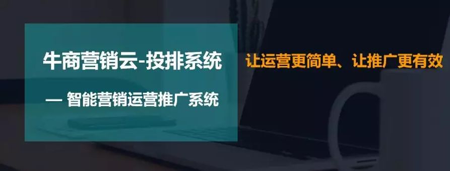 為什么網站排名一直做不上去