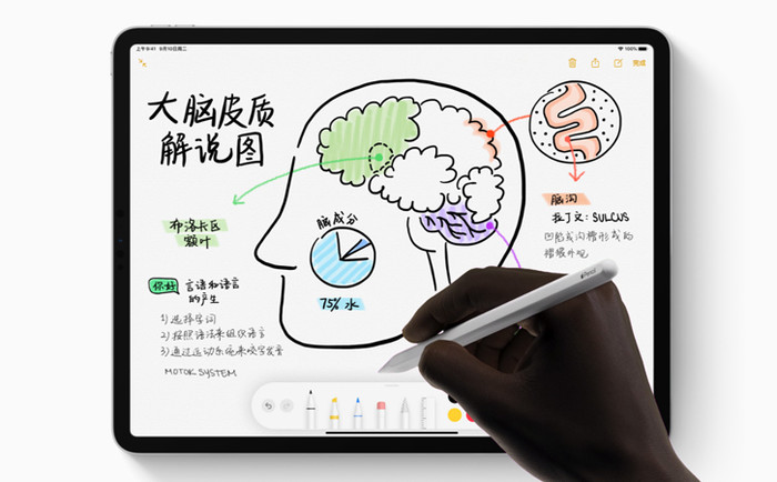 ipad cellular版是什么意思 與WLAN版有什么區(qū)別