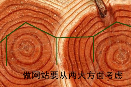 企業做網站要從兩大方面著手考慮