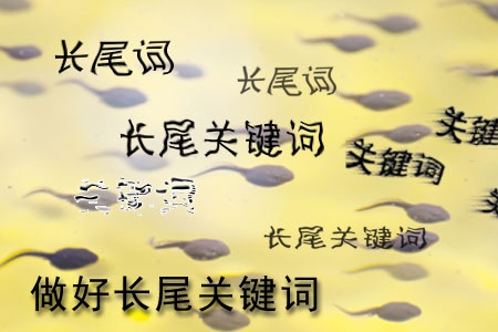 做網站怎樣做好長尾關鍵詞設置？