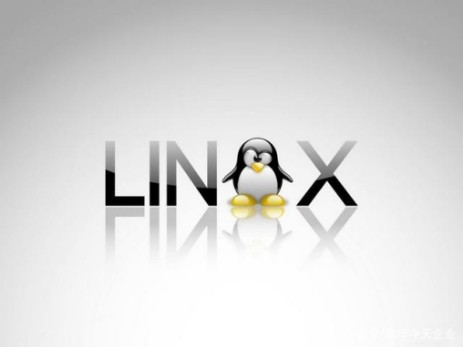 如何在Linux服務器上進行關機操作？