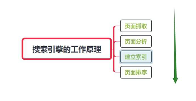 網站怎么讓蜘蛛快速抓取？