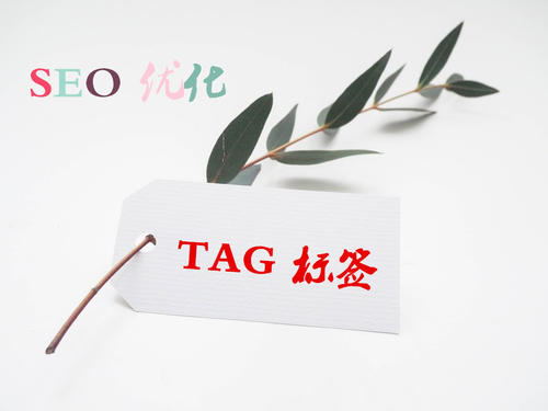 TAG標簽的使用對于SEO優化的重要性是什么？